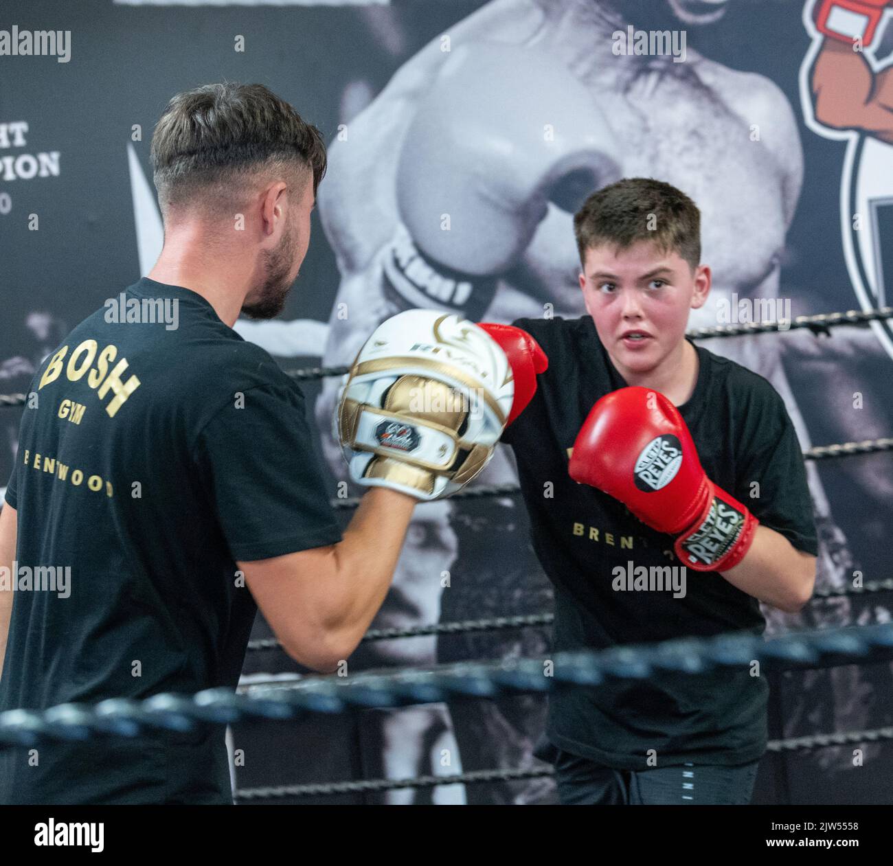 Brentwood Essex 3rd September 2022 Thomas  Skinner (The Apprentice and Celebrity Master Chief) opens his latest business venture, the Bosh Gym in Brentwood Essex UK. A boy sparing and boxing with boxing gloves  Credit: Ian Davidson/Alamy Live News Stock Photo
