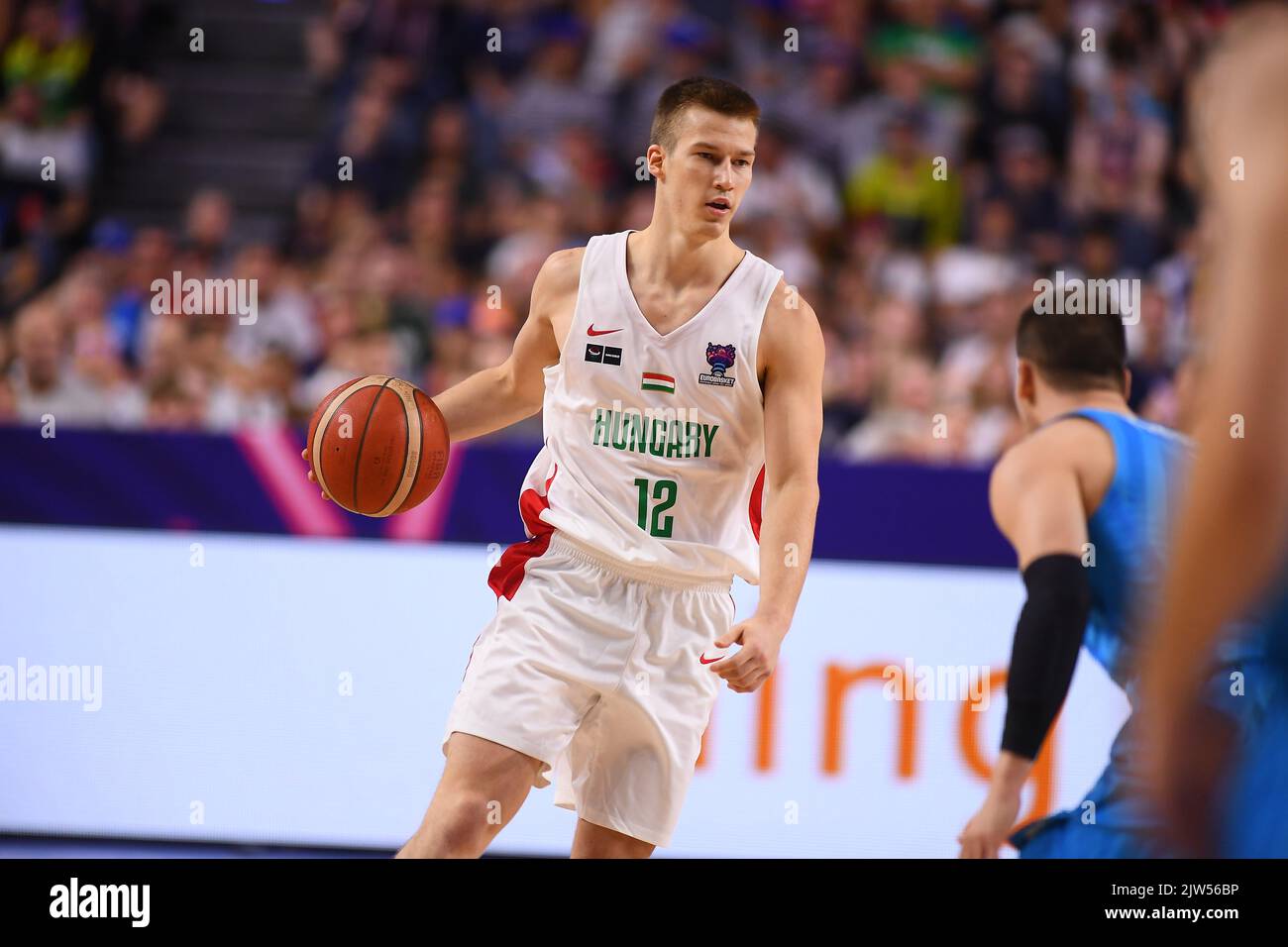 Somogyi Ádám basketball player Navigating Career Transitions