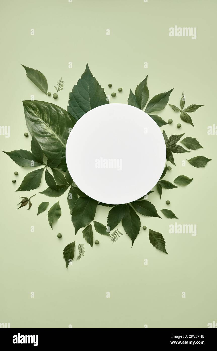 White round mockup for cosmetic product on green leaves yellow vertical flatlay. Stock Photo