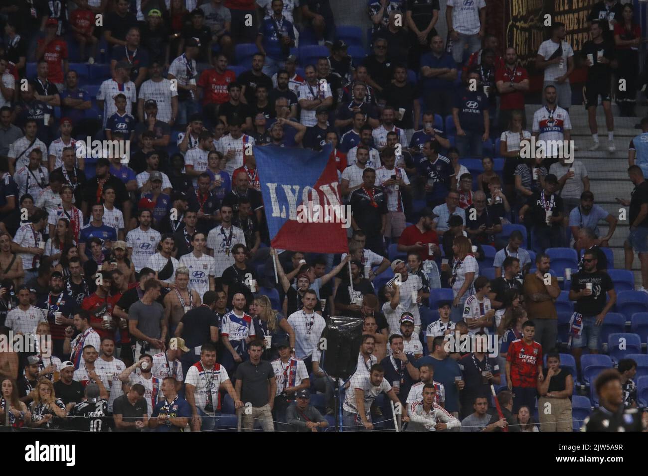 Fans of Lyon and flag during the French championship Ligue 1 football ...