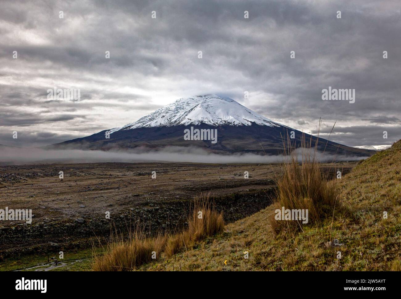 Mount cotopaxi in ecuador hi-res stock photography and images - Alamy
