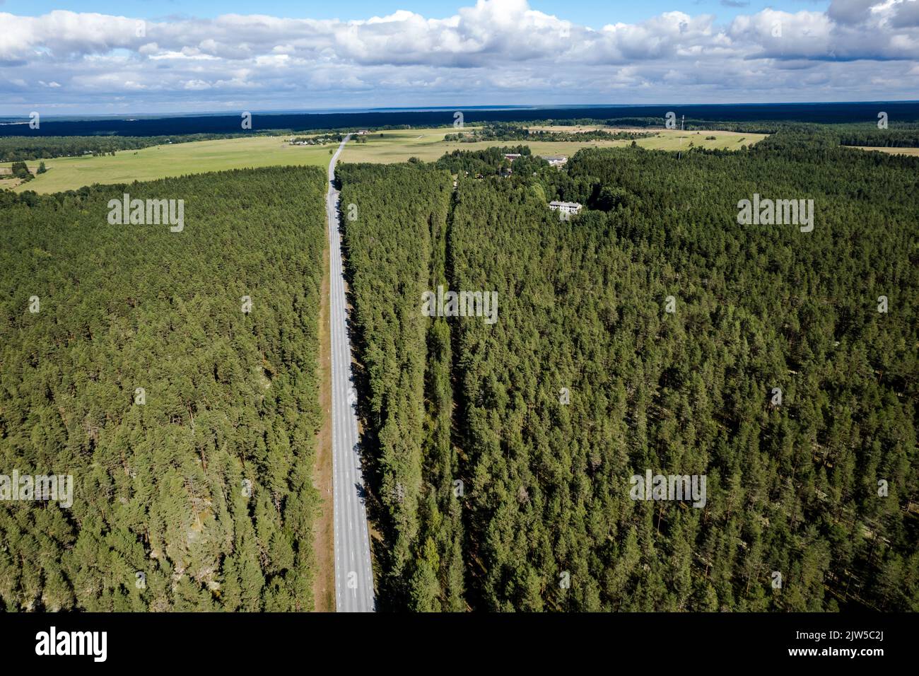 Aerial view of a road in the middle of the woods. View over pine tree forest. Stock Photo