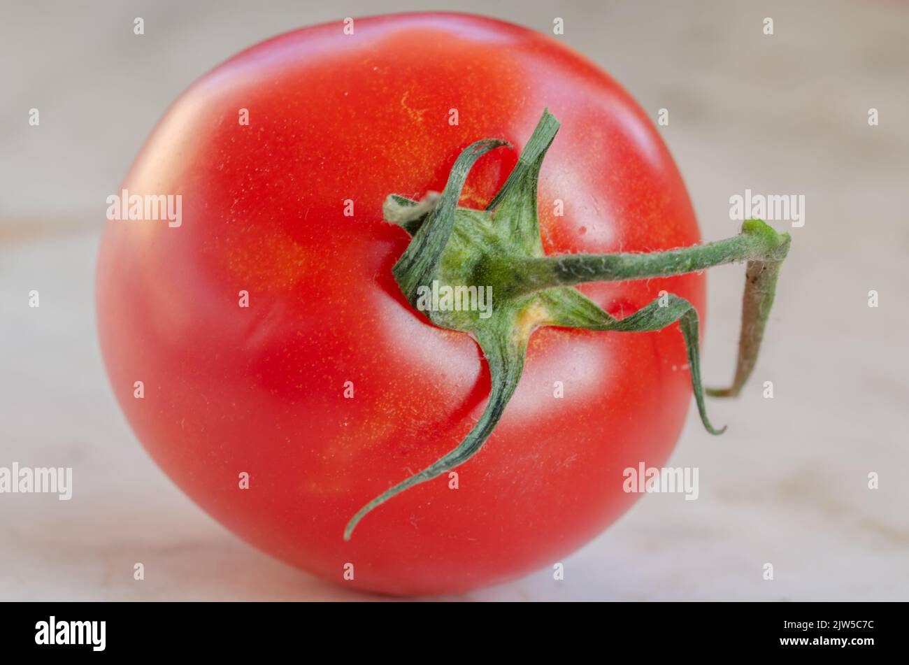 A tomato that are nice and big Stock Photo