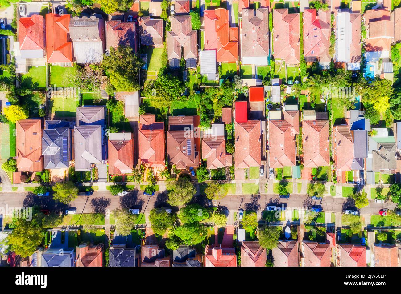 Local quiet residential street with detached houses in wealthy suburb of Sydney Lower North Shore Chatswood - aerial top down view. Stock Photo