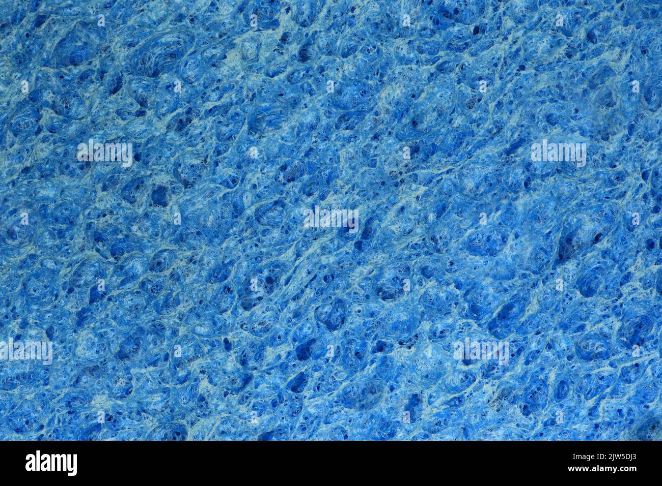 An extreme close-up of a dry, blue, kitchen dishwashing sponge postioned flat and straight on Stock Photo
