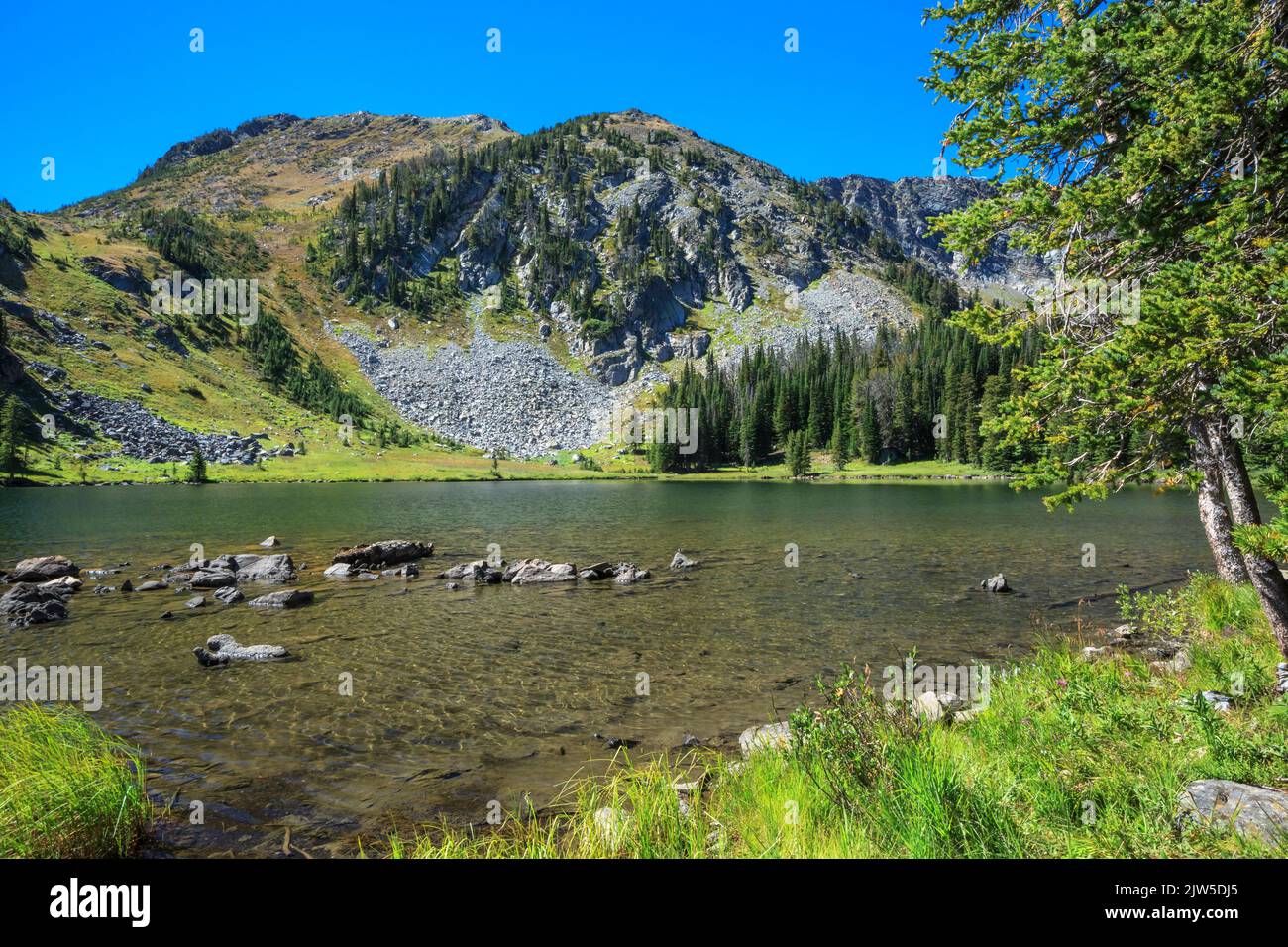 Root lake hi-res stock photography and images