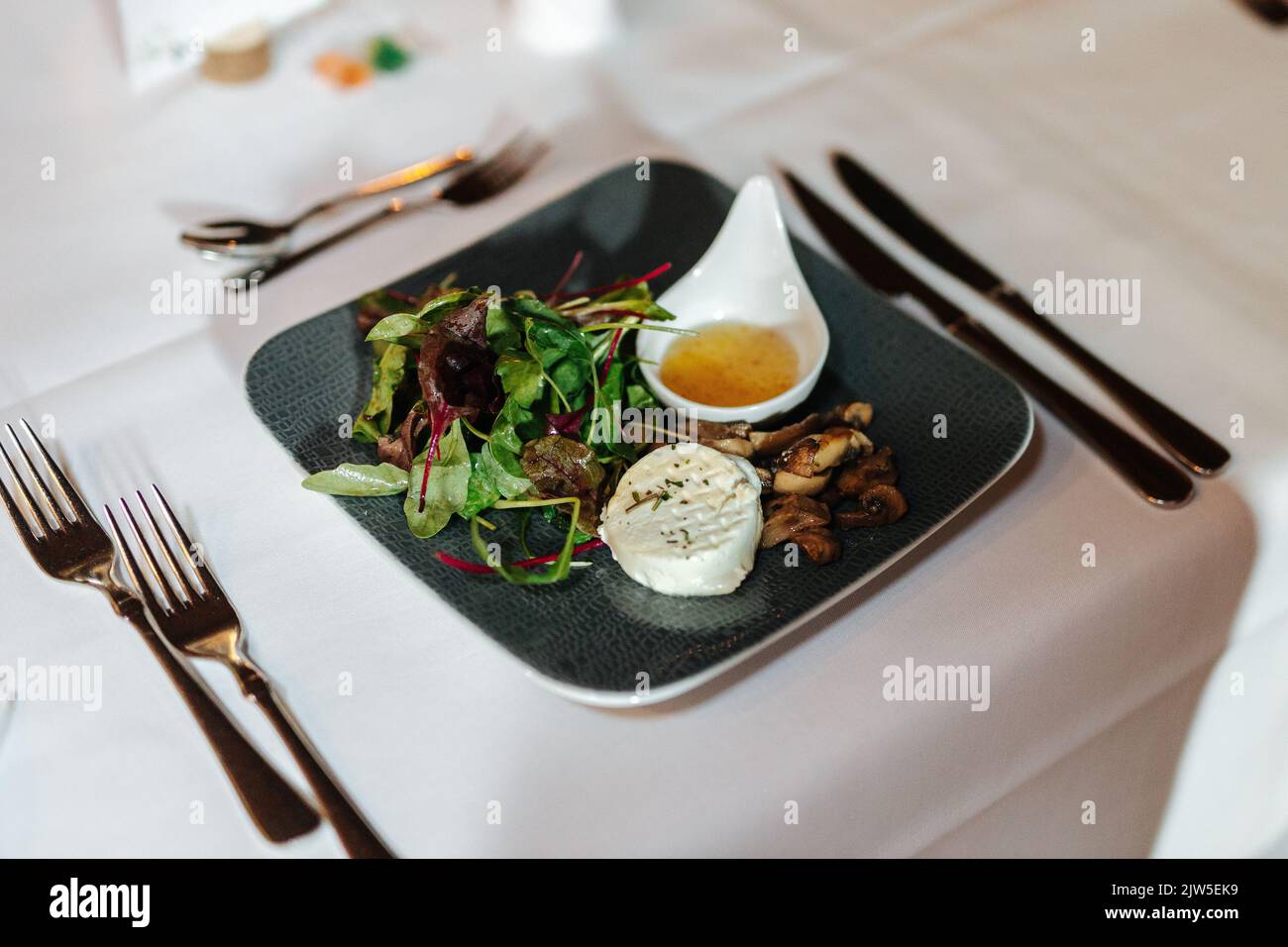 Delicious dinner beautifully arranged on a dinner plate. Stock Photo