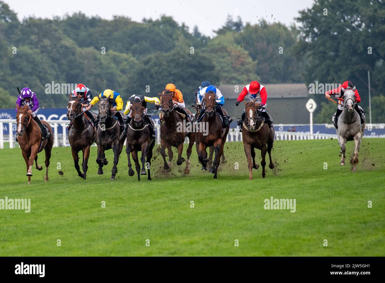 September Races The fever tree handicap stakes hi-res stock photography and images - Alamy