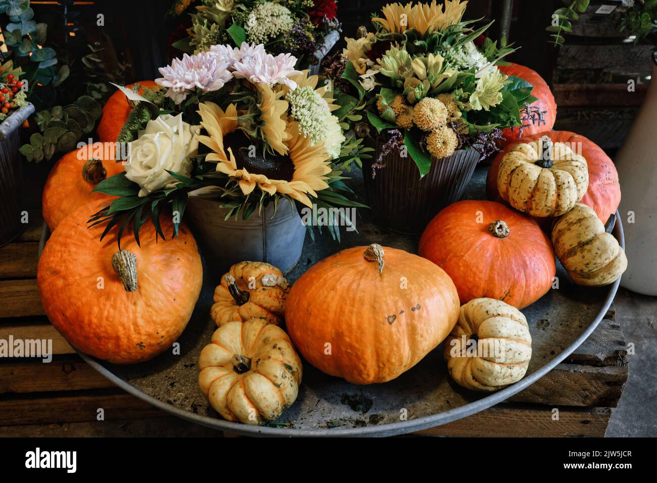 an autumnal arrangement with various pumpkins and flowers on a large metal bowl at an autumn market Stock Photo