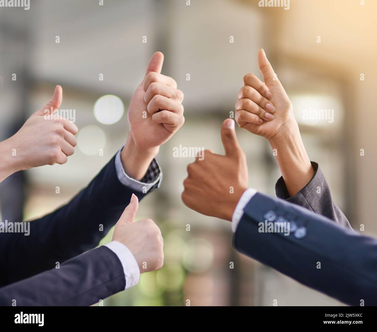Fantastic job. a group of office workers giving thumbs up together. Stock Photo