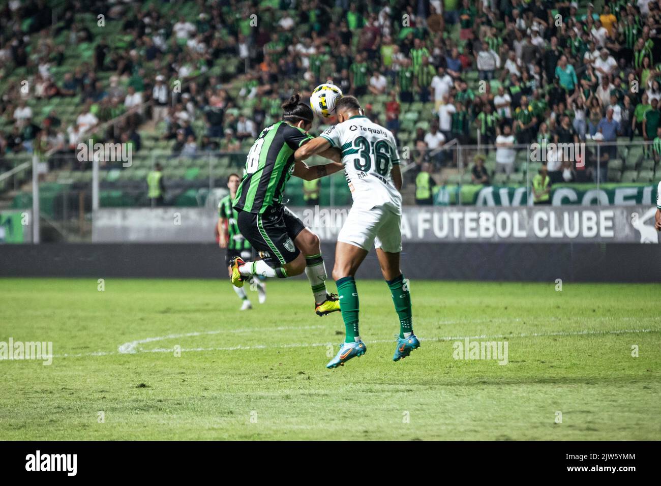 América Futebol Clube de Belo Horizonte (Brazil)