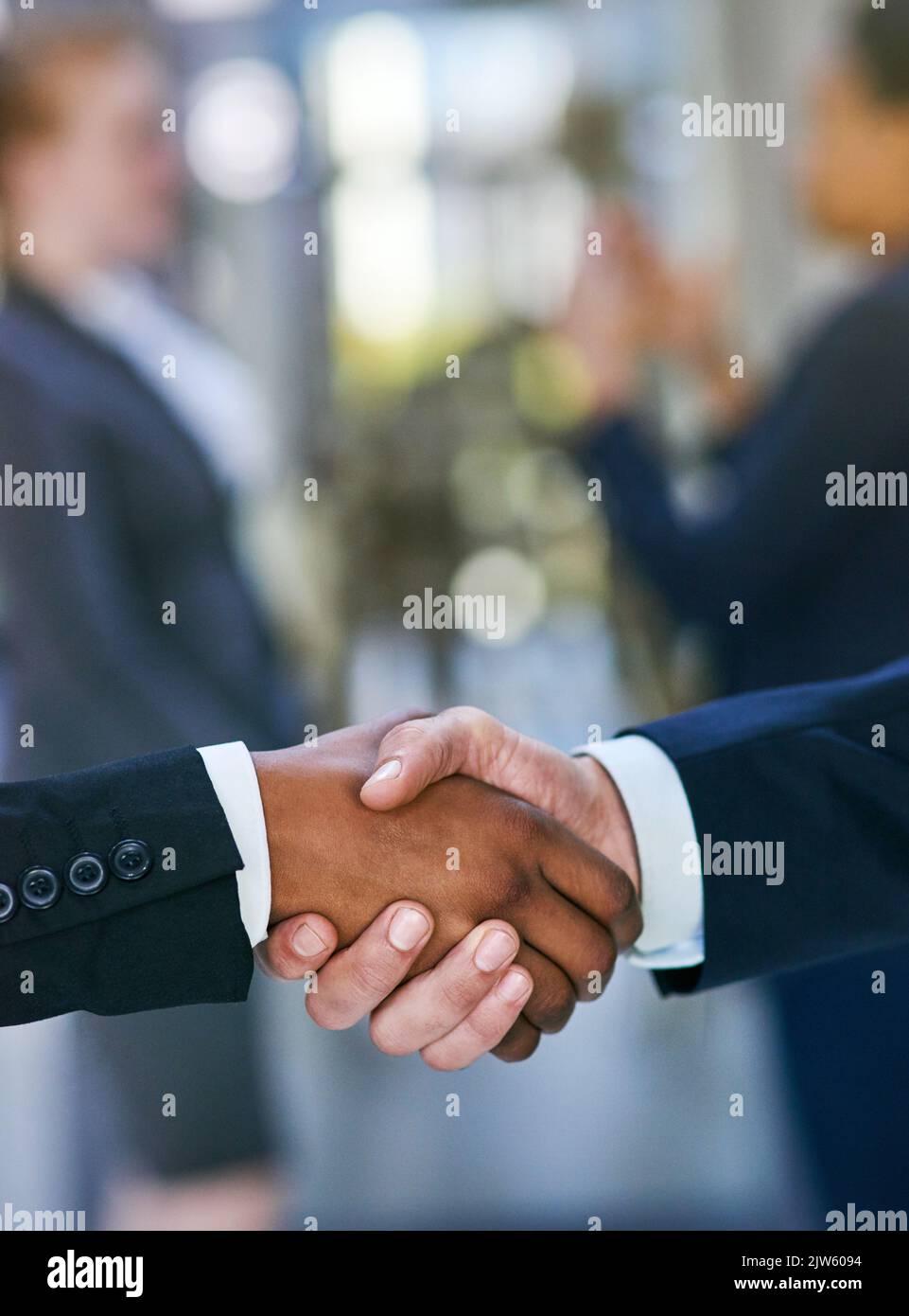 Equal partners in business. two businessmen shaking hands. Stock Photo