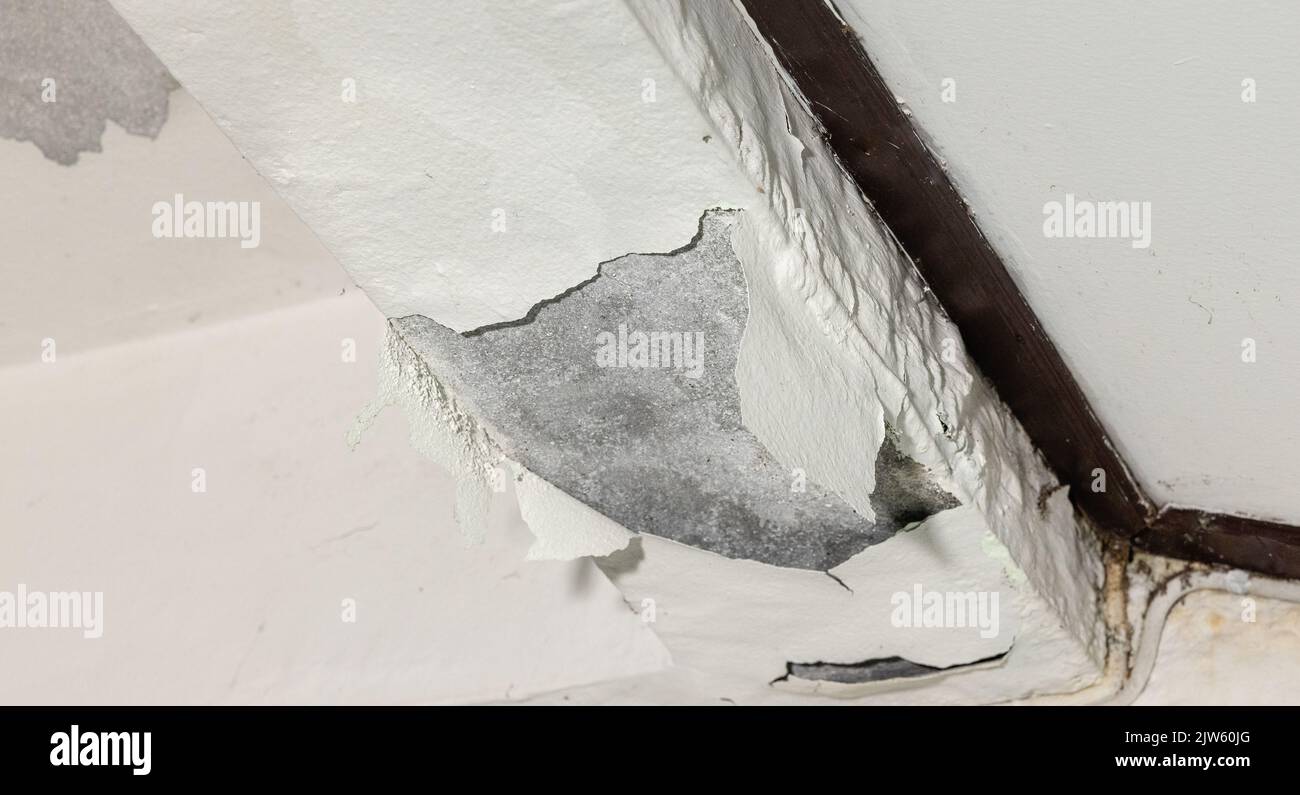 Water leaking from concrete slab porch into room below Stock Photo Alamy