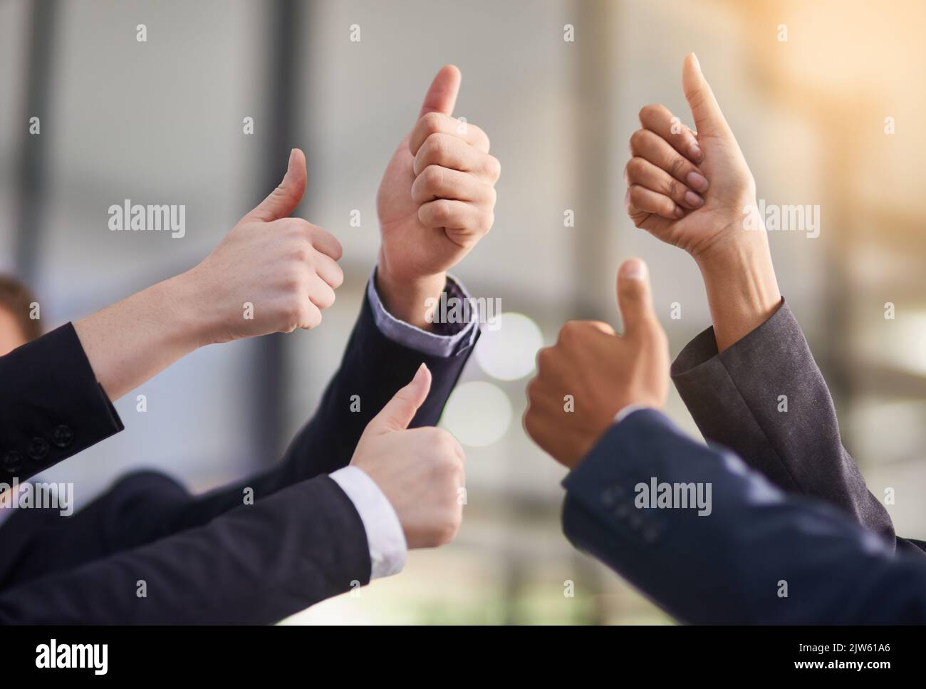 Thumbs up to your achievements. a group of office workers giving thumbs up together. Stock Photo