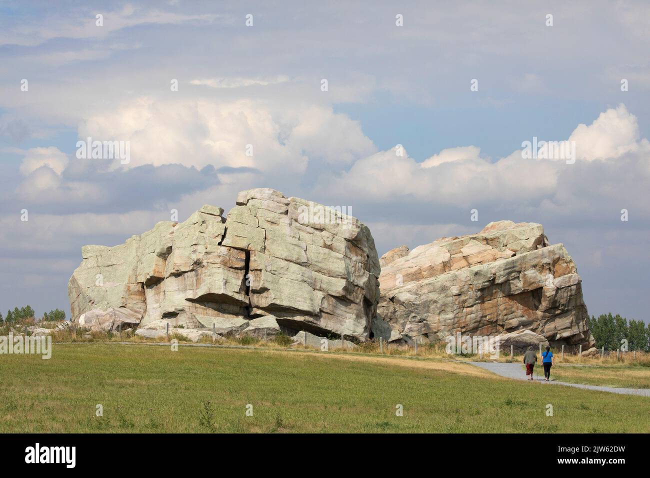 Okotoks Big Rock, the largest glacial erratic carried in glacier ice from Mount Edith Cavell, Rocky Mountains to the prairies during the Pleistocene Stock Photo