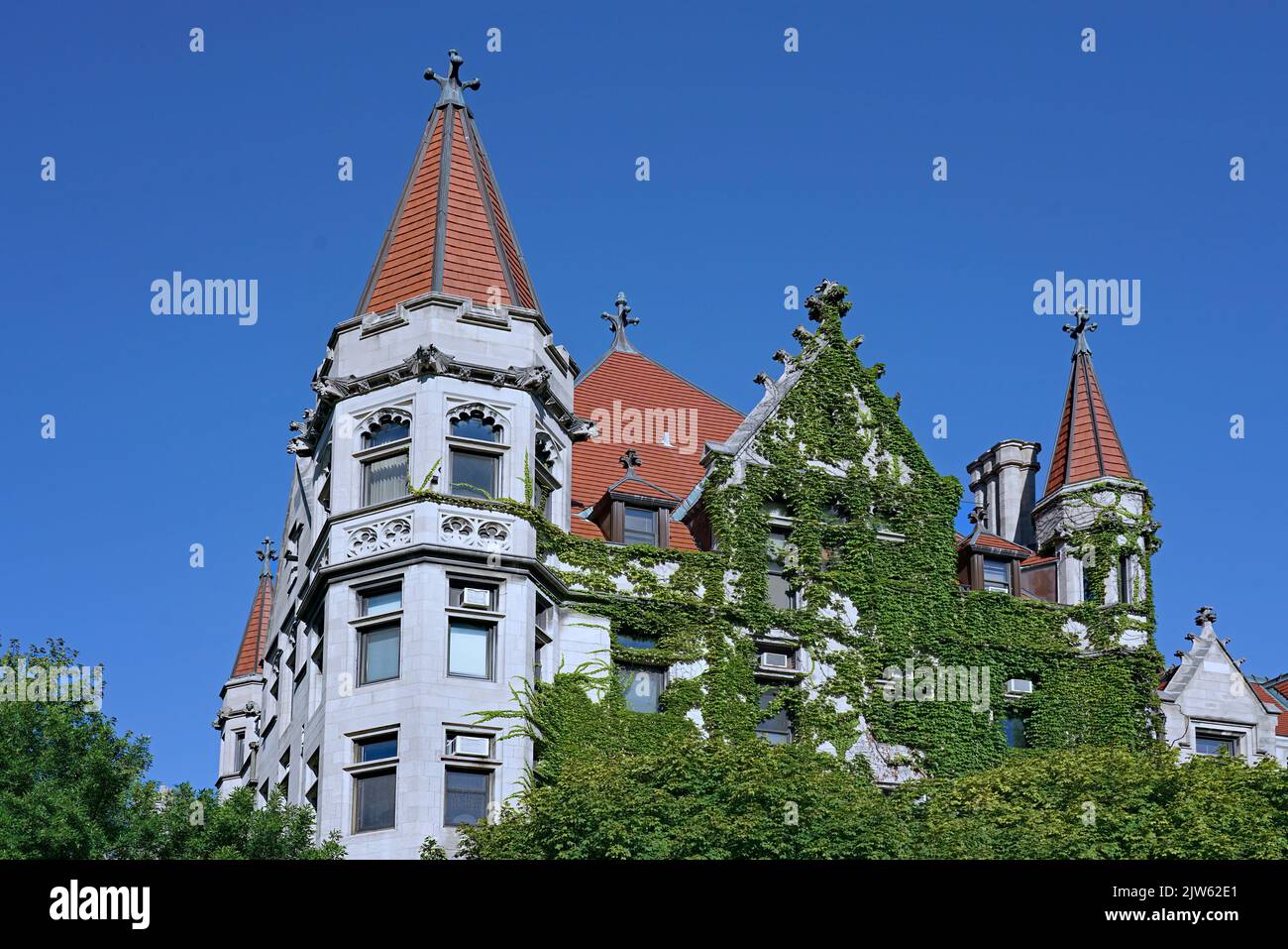 Close-up view of ivy covered college building with ornate gothic styling Stock Photo