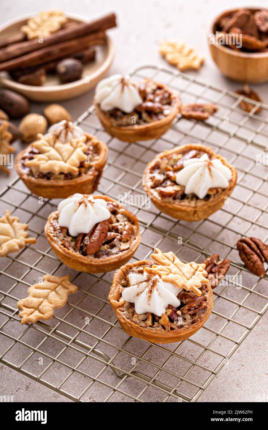 Mini pecan pies baked in a muffin tin Stock Photo