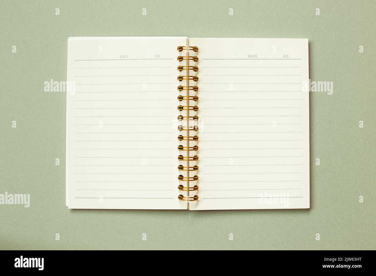 Open note book isolated on green background. top view, copy space Stock Photo