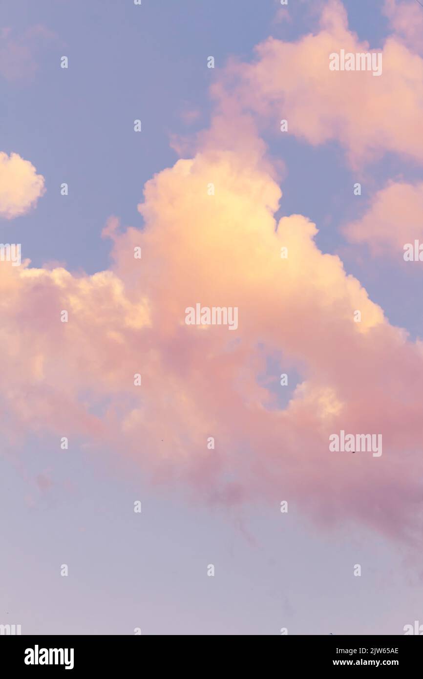 Vertical shoot.Light pink clouds in sunset blue sky. Pastel colors of ...