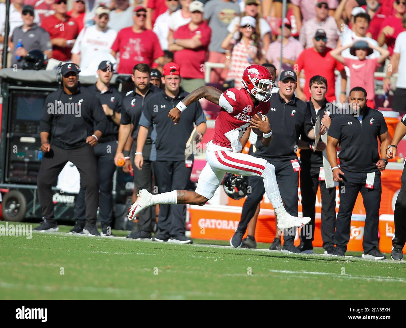 September 3, 2022 Arkansas QB Malik Hornsby 4 takes the ball down the