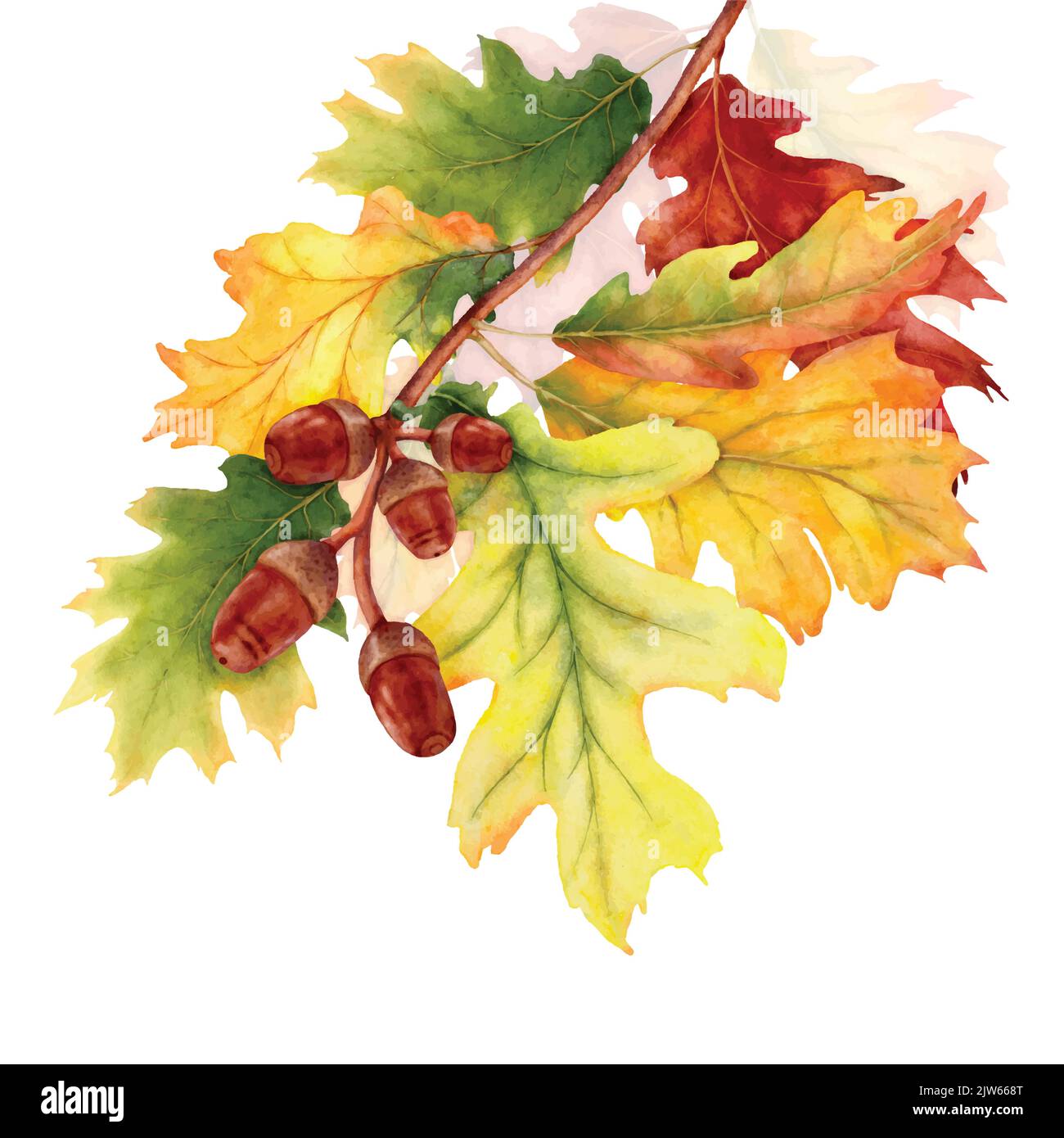 Orange oak leaves Stock Vector Images - Alamy