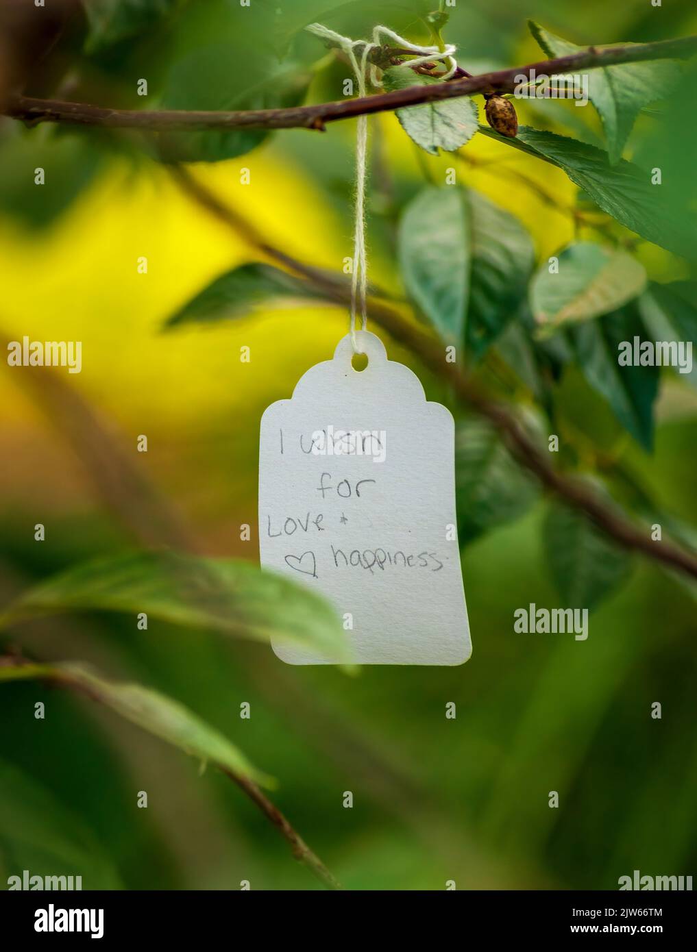“I wish for love & happiness” – a wish written on a paper tag and tied to a twig on the Wishing Tree, at Berkshire Botanical Garden. Stockbridge, MA. Stock Photo