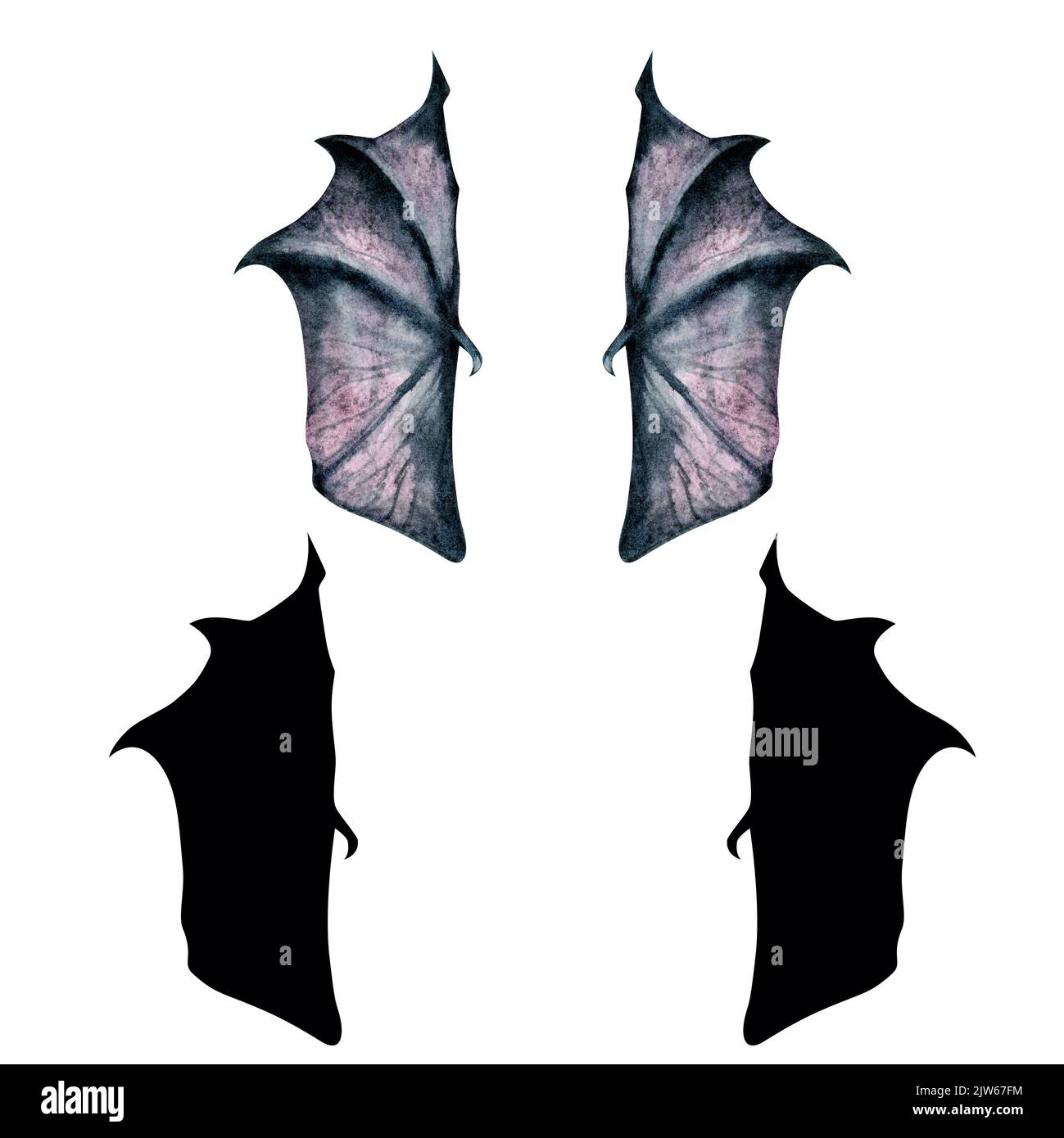 Bat Stock Photo