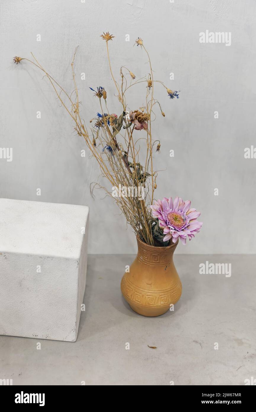 Still life with dry flowers bouquet and white cube Stock Photo - Alamy
