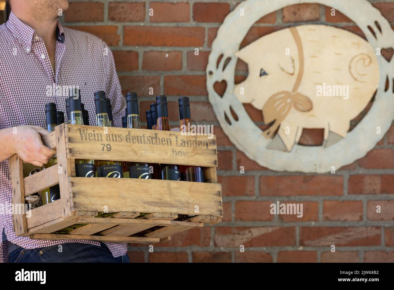 Bad Iburg, Germany. 03rd Aug, 2022. Farmer Jan Brinkmann carries a