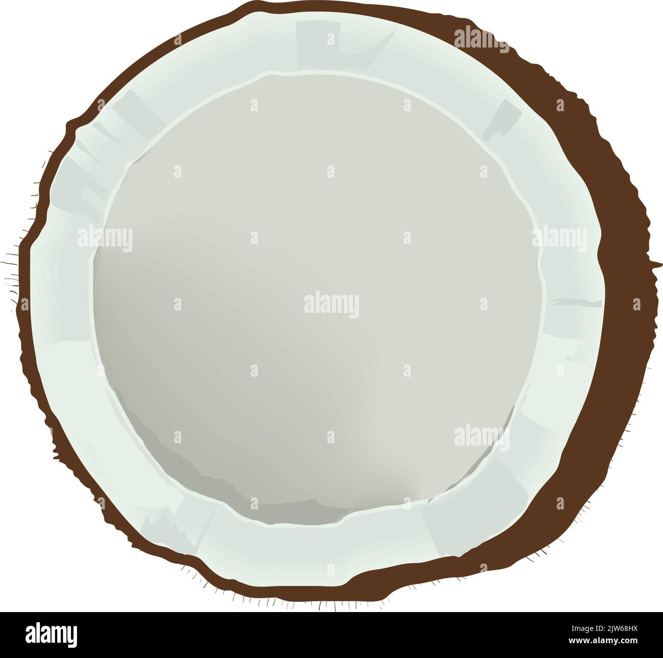 coconut icon isolated Stock Vector Image & Art - Alamy