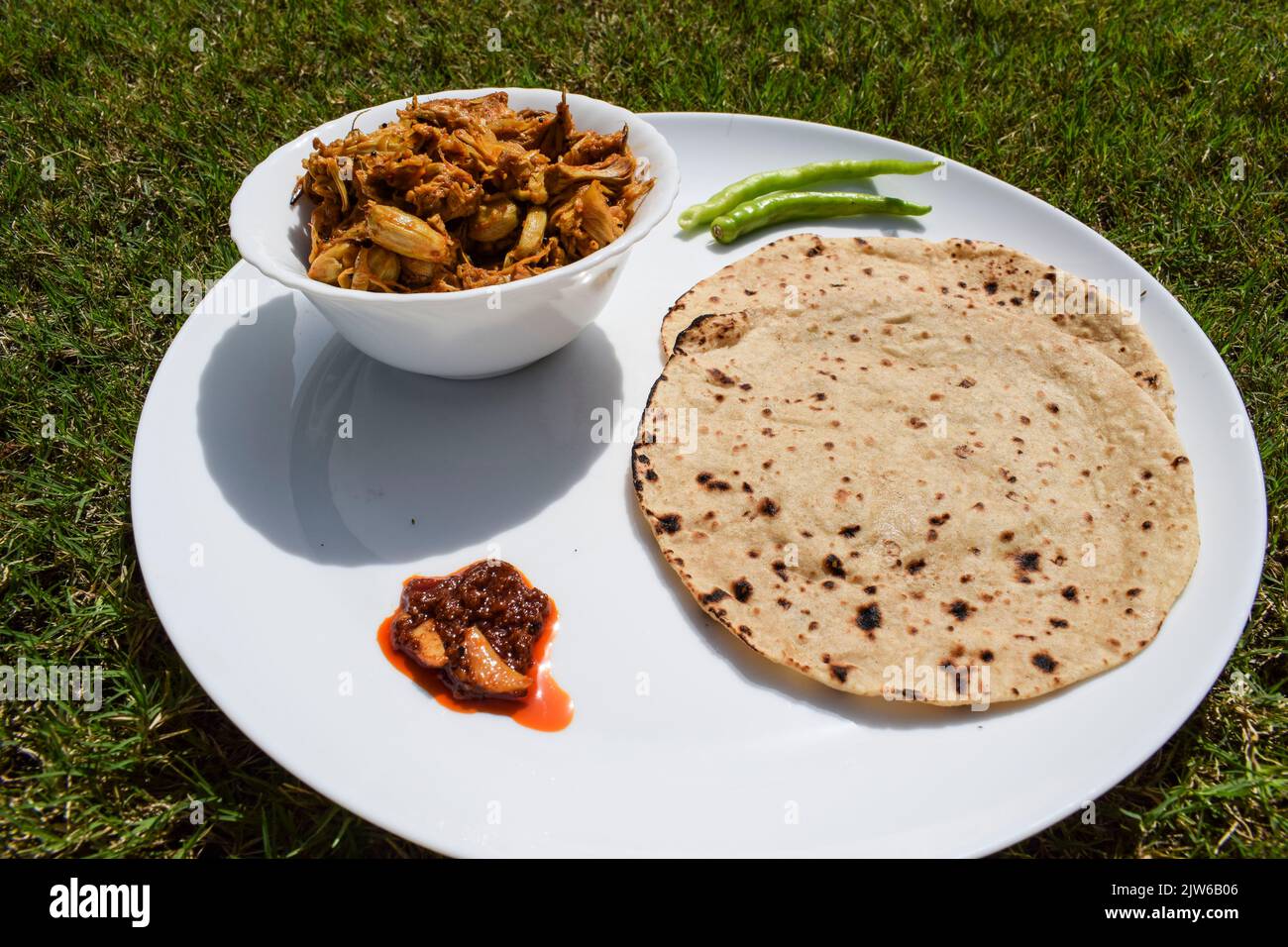 Simple and tasty Indian homemade lunch food item. Roti sabji lunch from India. Chapathi with Jackfruit curry. Jackfruit or Kathal ki sabji roti with p Stock Photo