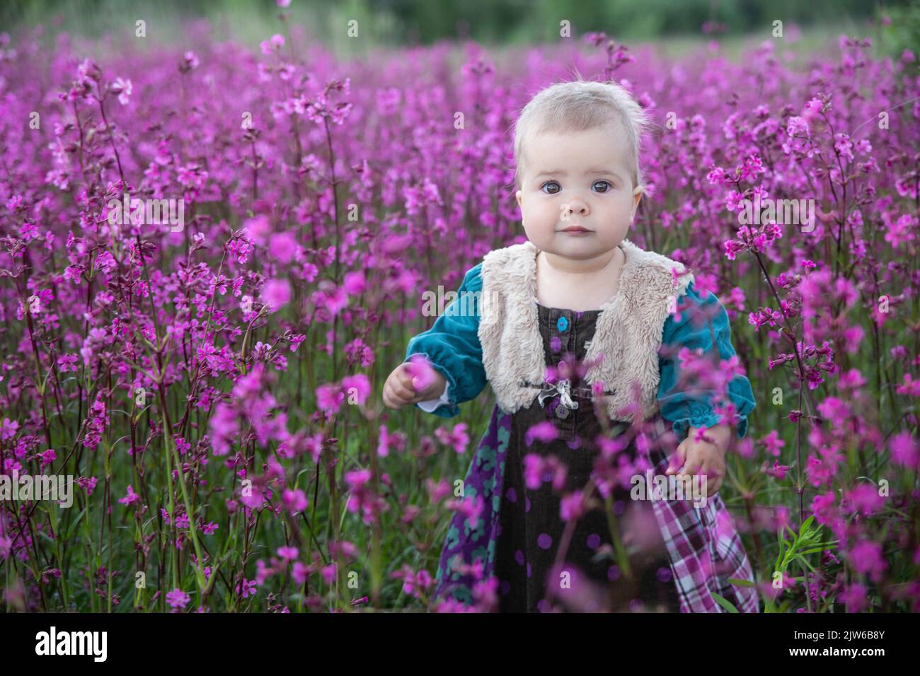baby in a colored dress in a field with purple flowers Stock Photo