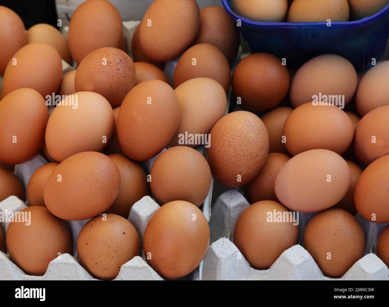 many fresh fragile chicken eggs for sale in the local market Stock