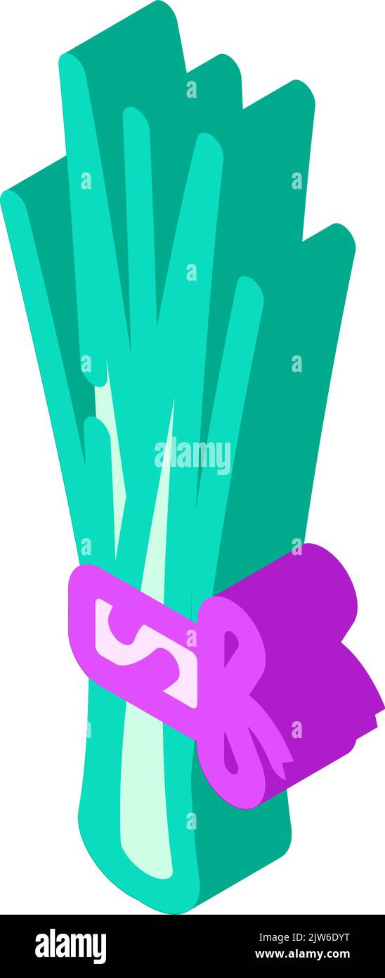 chives onion isometric icon vector illustration Stock Vector Image