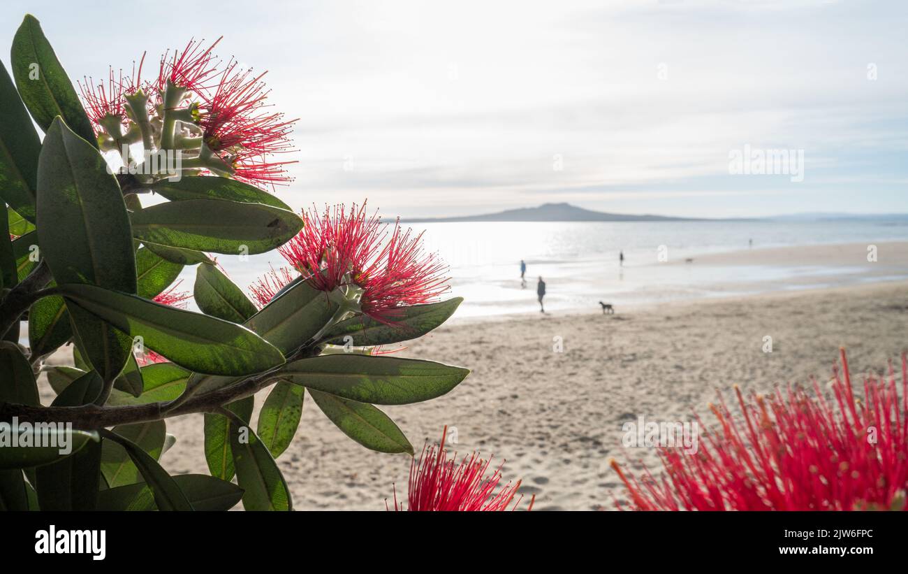 People and dogs walking at Takapuna beach. Rangitoto Island framed by