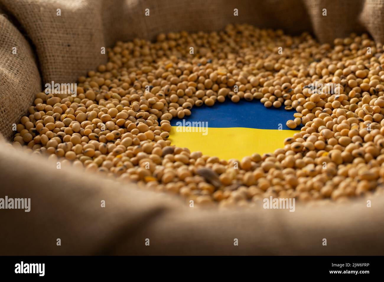 Burlap sack with soybeans and Ukrainian flag concept Stock Photo