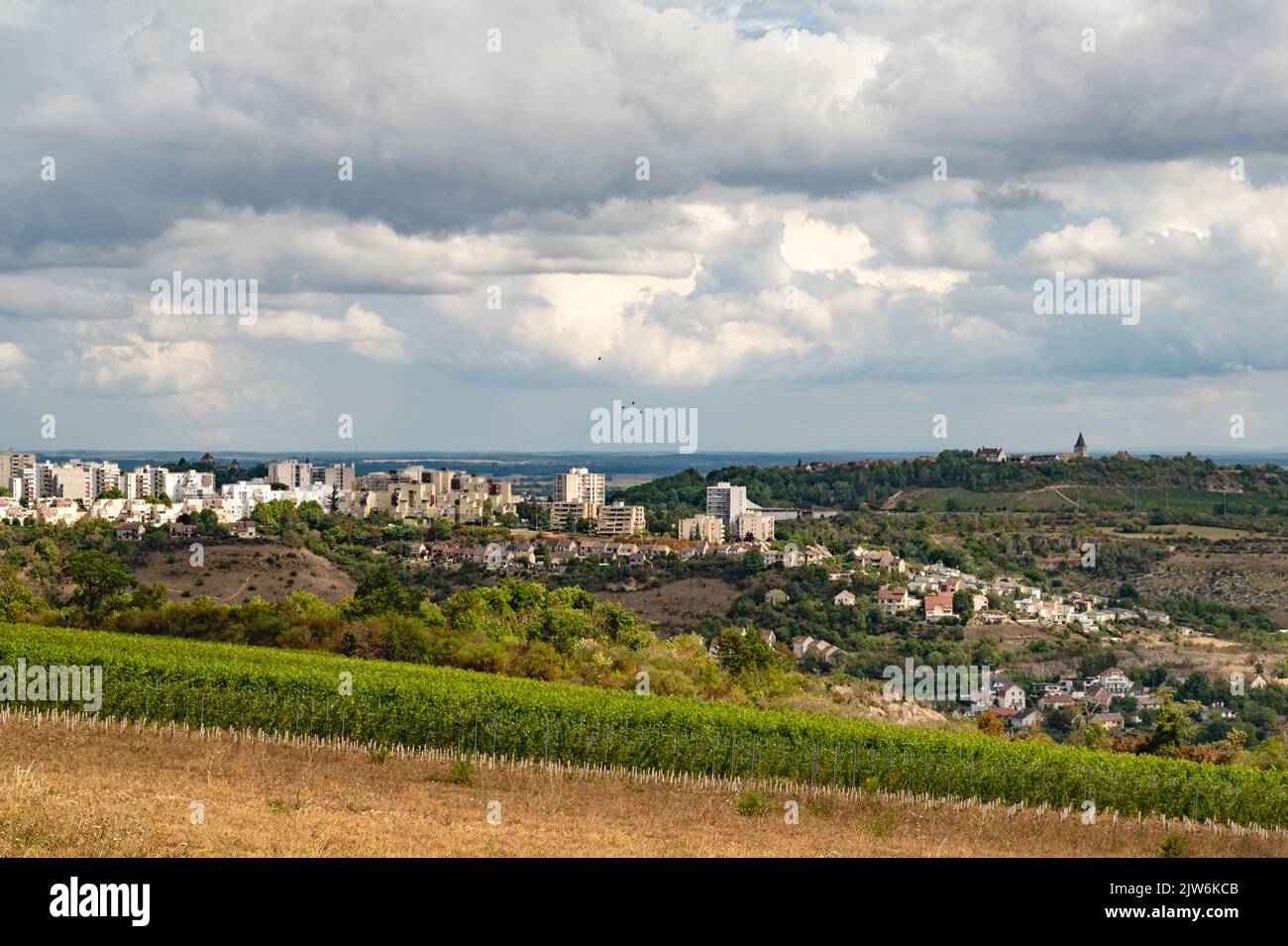 Dijon is redeveloping its former city vineyards on the plateau du Cras Stock Photo