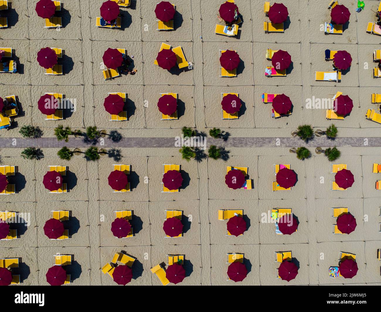 Aerial view of the sandy beach with umbrellas Stock Photo Alamy