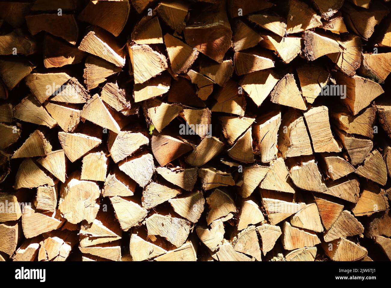 Full Format Stack of fresh cut Wood in forest in interesting spotlight Stock Photo