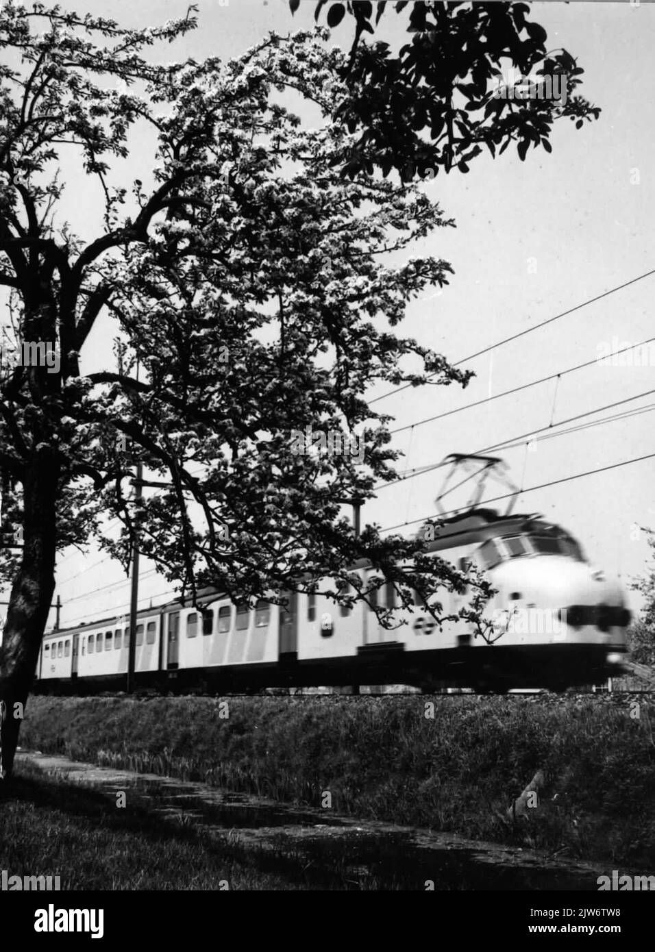 Image of an electric train set matt. 1954 (Plan F) of the N.S. In the