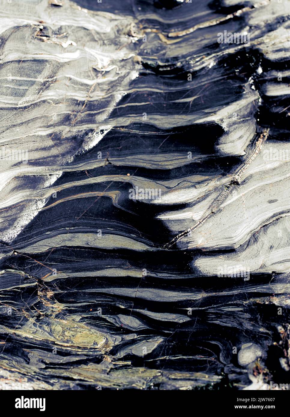 Stunning patterns formed in the rocks around Cornwallis coastline ...