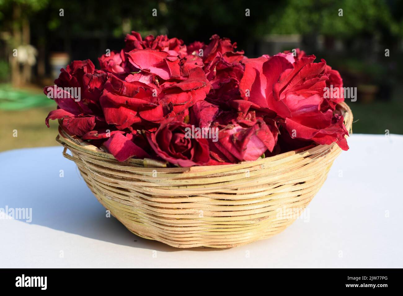 Red Pink roses in wicker bamboo basket . Fresh roses selling in basket