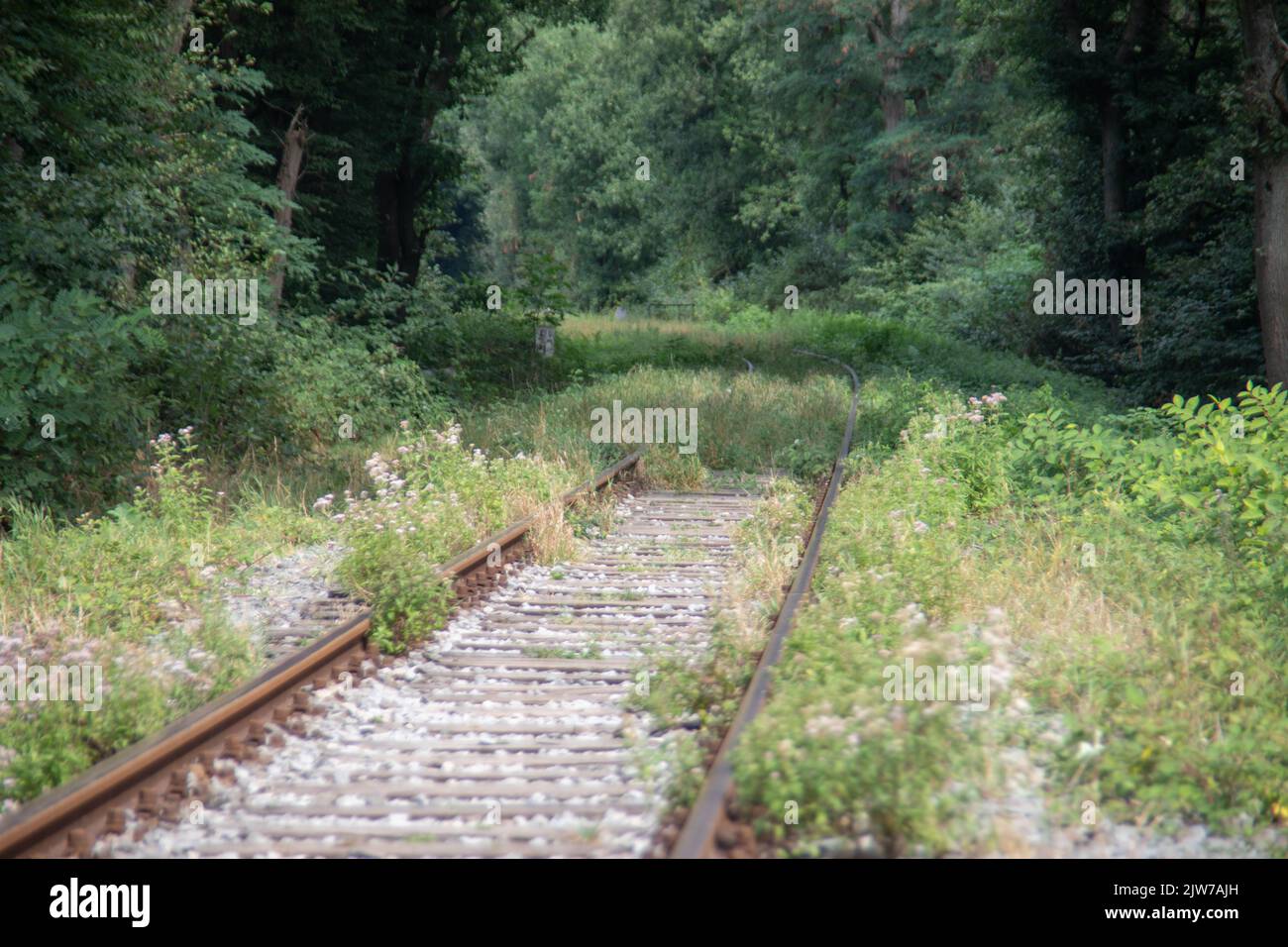 overgrown disused railway line in the Ruh area Stock Photo