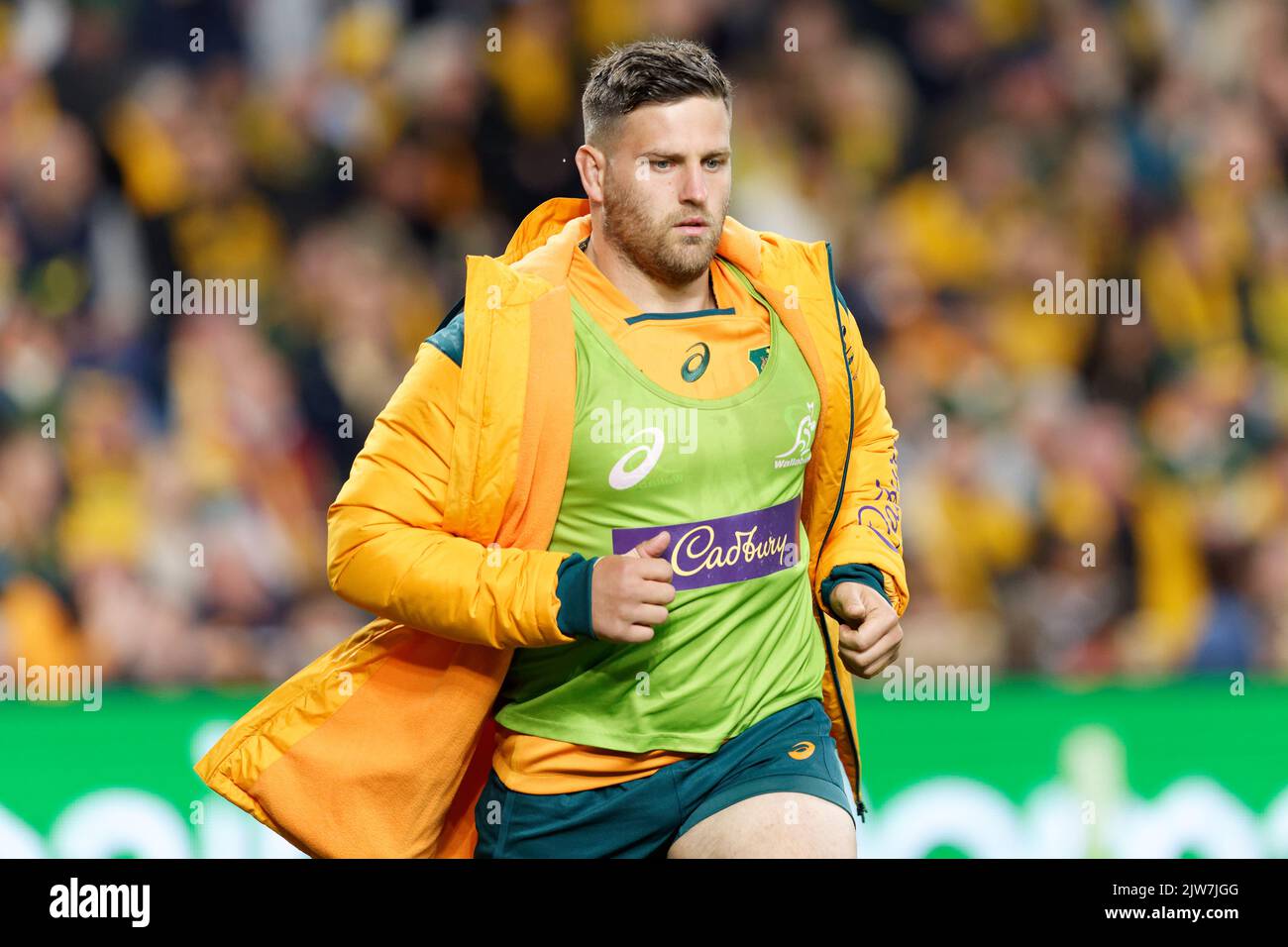 SYDNEY, AUSTRALIA - SEPTEMBER 3: David Porecki of Australia warms up during The Rugby Championship match between the Australia Wallabies and South Afr Stock Photo