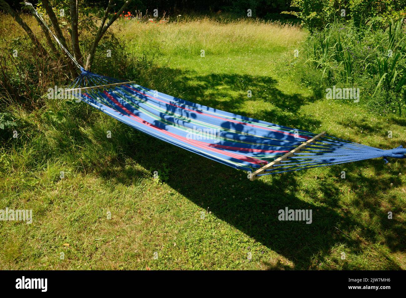 A garden hammock in summer. Relax in suspended comfort in a soft fabric hammock in dappled sunlight. Stock Photo