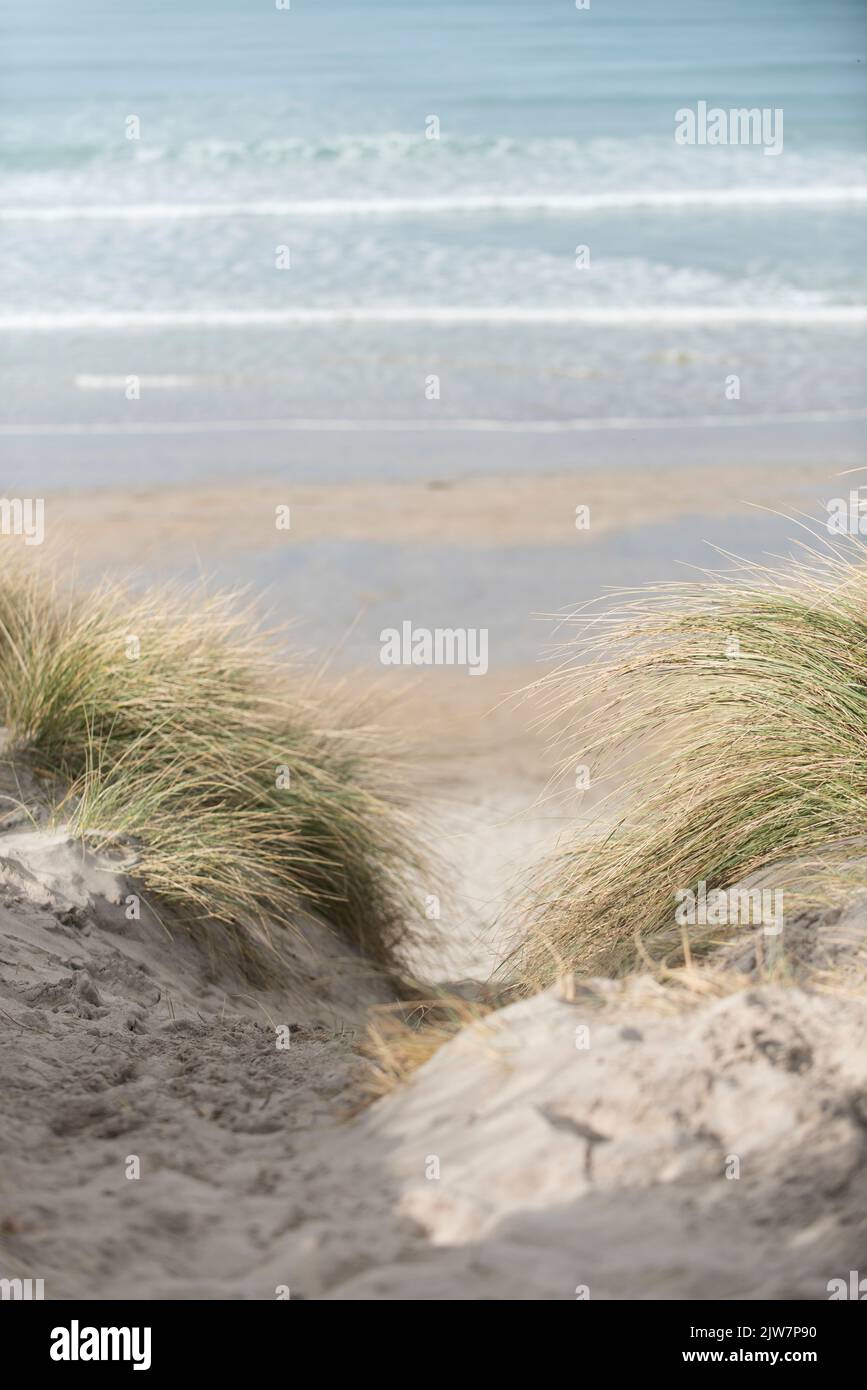 Taking the path through the dunes grasses toward to beach of Gwithian Hayle. Stock Photo