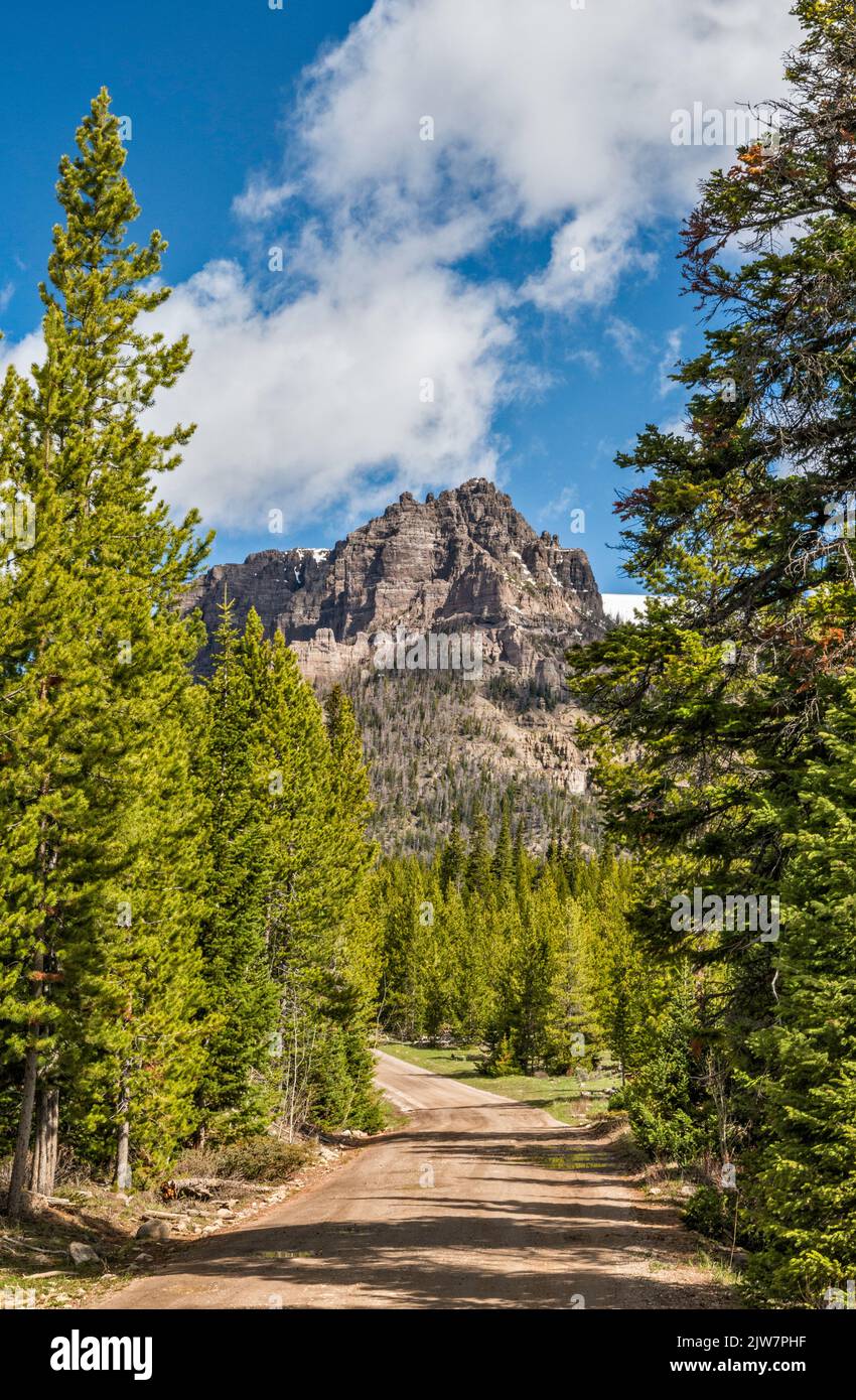 Lincoln Point over Wiggins Fork Road aka Horse Creek Road (FR 285), to