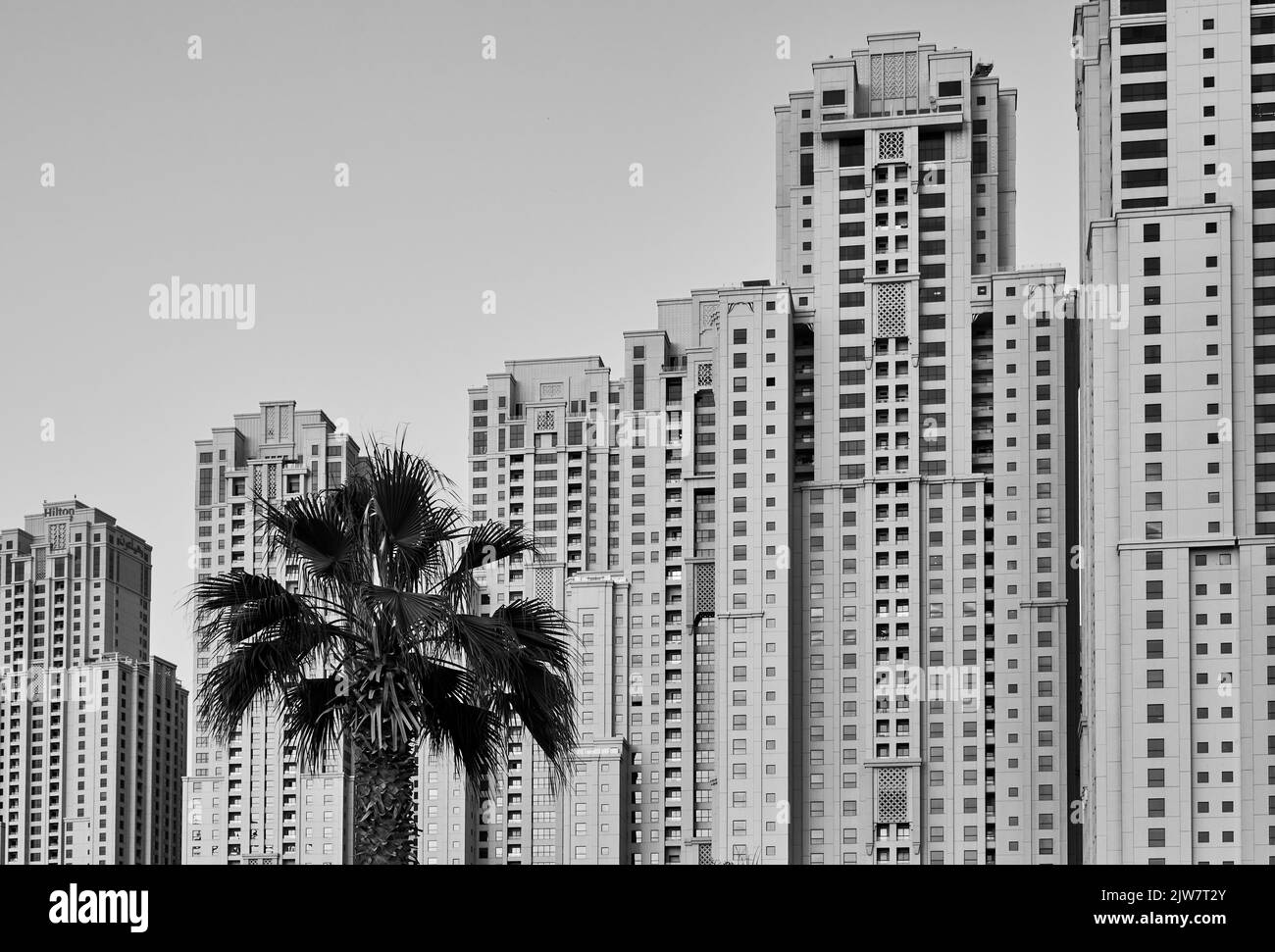 palm trees grow on the waterfront in Dubai United Arab Emirates Stock