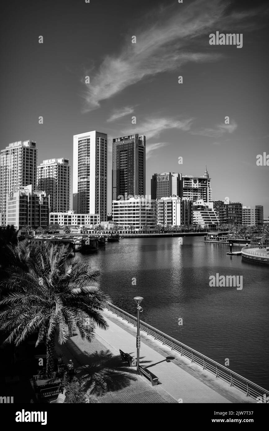 palm trees grow on the waterfront in Dubai United Arab Emirates Stock