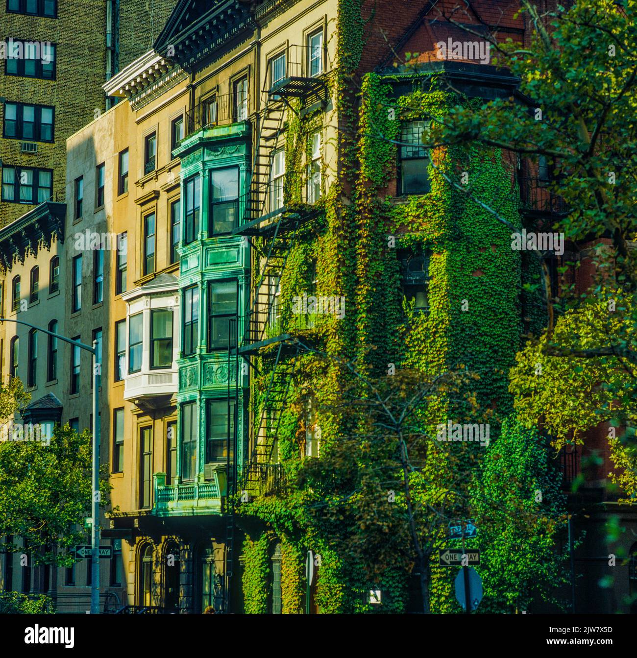 New York, 1980s, ivy-clad brownstone houses, fire escape stairs, residential neighbourhood, Brooklyn Heights, New York City, NYC, NY, USA, Stock Photo